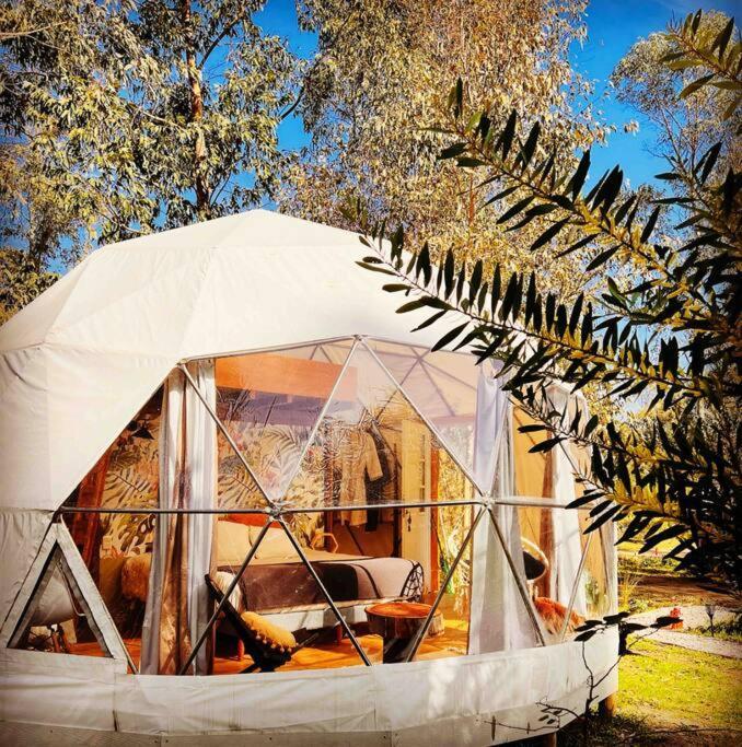 Magia Ecolodges, Glamping Punta Colorada Exterior photo